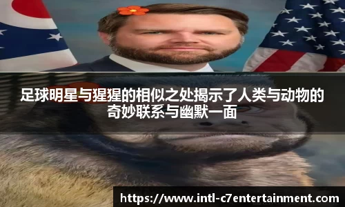 c7娱乐官方网站